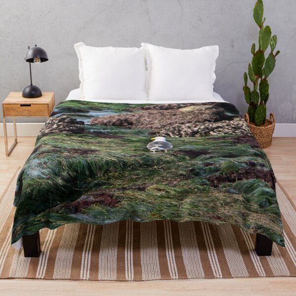 Item preview, Where Am I ? designed and sold by heatherfriedman.