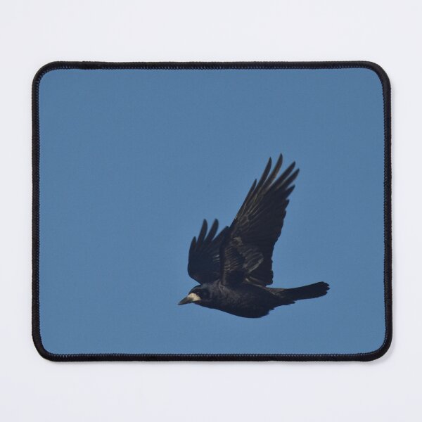 Item preview, Rook in flight designed and sold by Alison Stevens.