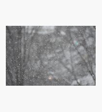 Snow in Boone Photographic Print