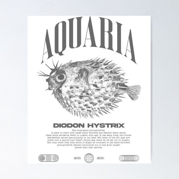Item preview, Porcupine Puffer Fish Keeper Modern Streetwear designed and sold by JRRTs.