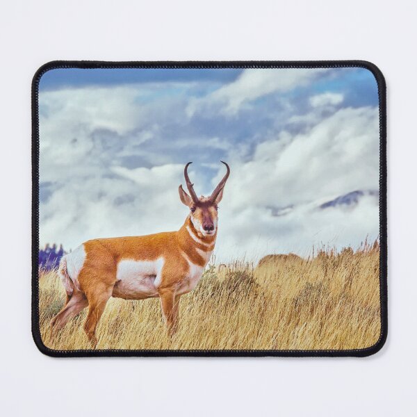 Item preview, Deer in the Wild designed and sold by VisionSnapHub.