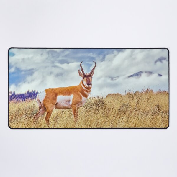 Item preview, Deer in the Wild designed and sold by VisionSnapHub.