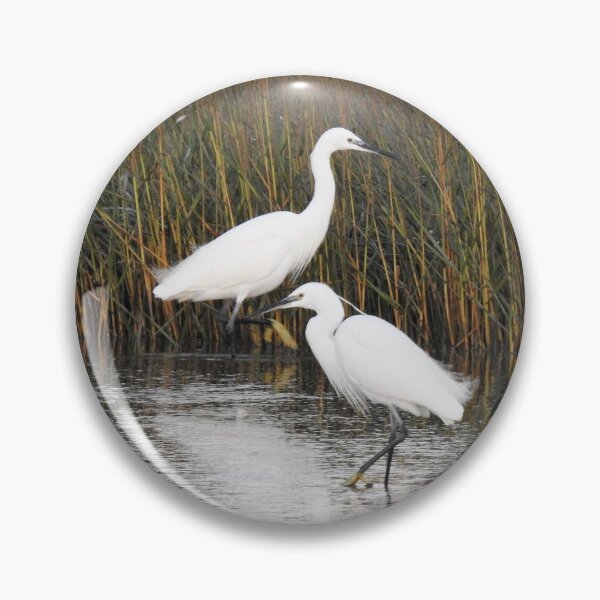 Item preview, Two Little Egrets in front of reeds designed and sold by TwistedClassics.