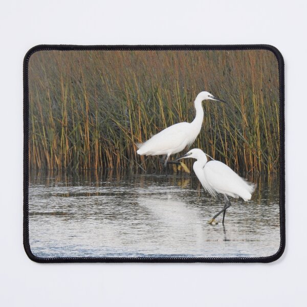 Item preview, Two Little Egrets in front of reeds designed and sold by TwistedClassics.