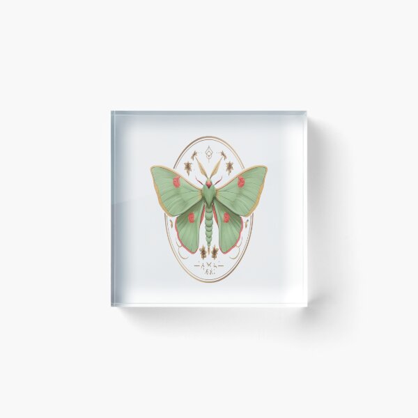 Item preview, chinese moon moth designed and sold by luckybirds.