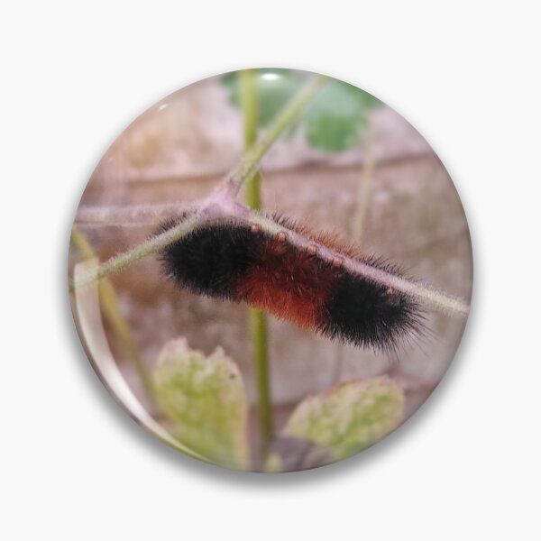 Item preview, Caterpillar Toes <3 designed and sold by Amber Graham (grahamedia).