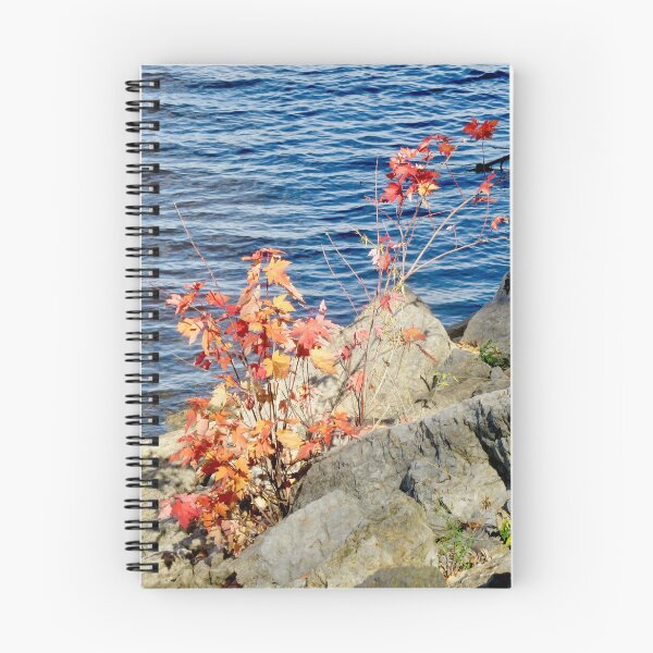 Item preview, Colourful leaves designed and sold by Shulie1.