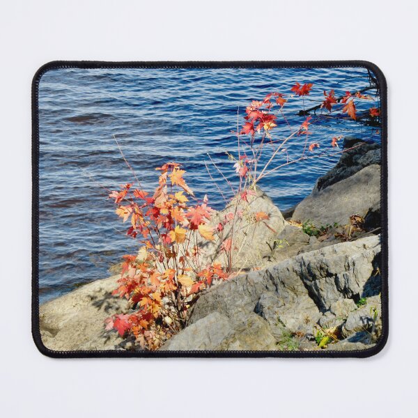 Item preview, Colourful leaves designed and sold by Shulie1.