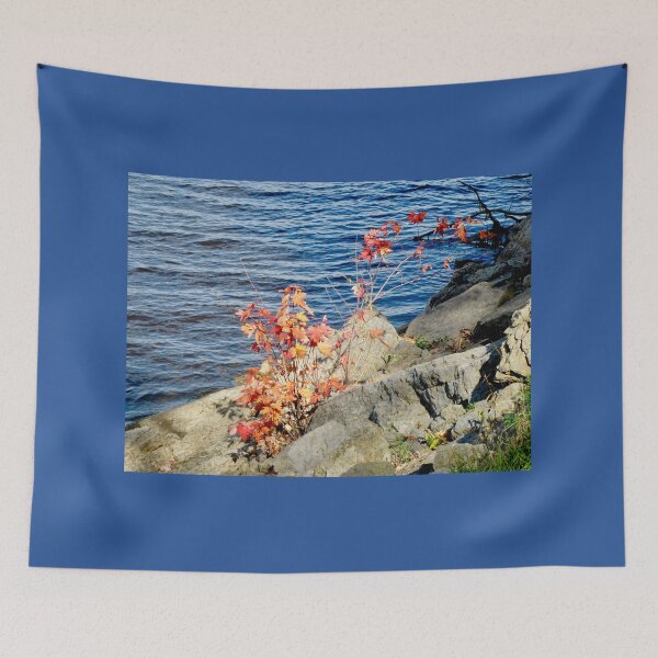 Item preview, Colourful leaves designed and sold by Shulie1.