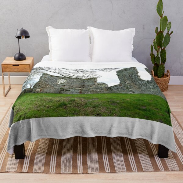 Item preview, Priory of St Mary in the Meadow, Norfolk designed and sold by yackers1.