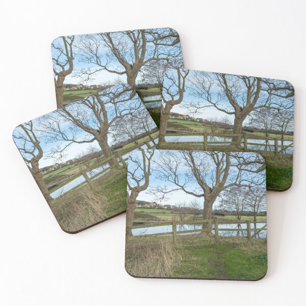 Item preview, Priory of St Mary in the Meadow, Norfolk designed and sold by yackers1.