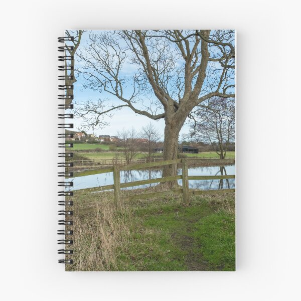 Item preview, Priory of St Mary in the Meadow, Norfolk designed and sold by yackers1.
