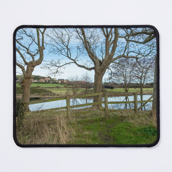 Item preview, Priory of St Mary in the Meadow, Norfolk designed and sold by yackers1.