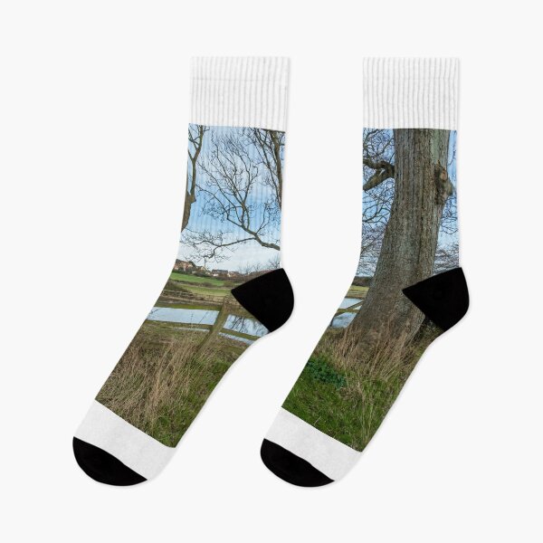 Item preview, Priory of St Mary in the Meadow, Norfolk designed and sold by yackers1.
