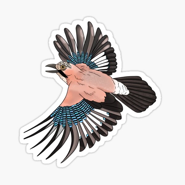 Eurasian Jay, fly, fly away. Gold Sticker