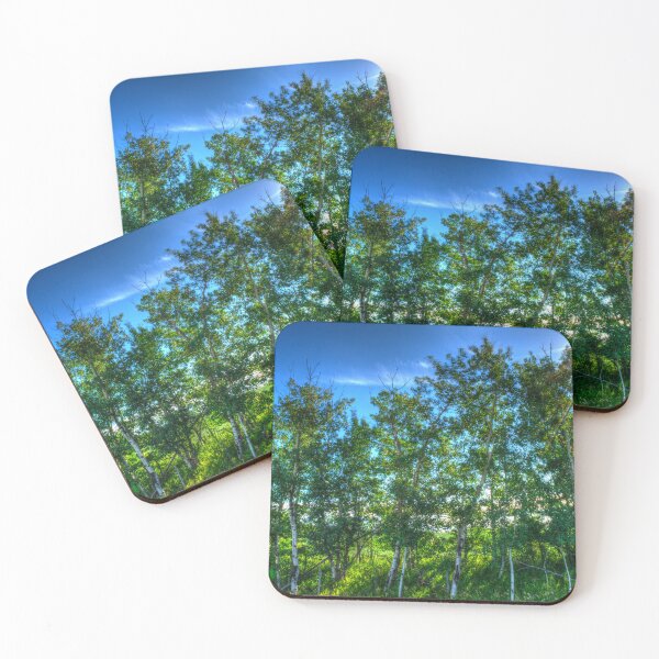 Item preview, Sun Shinning Through Birtch Trees in Farmers Field Big Ski Alberta designed and sold by ColdCreekCanvas.