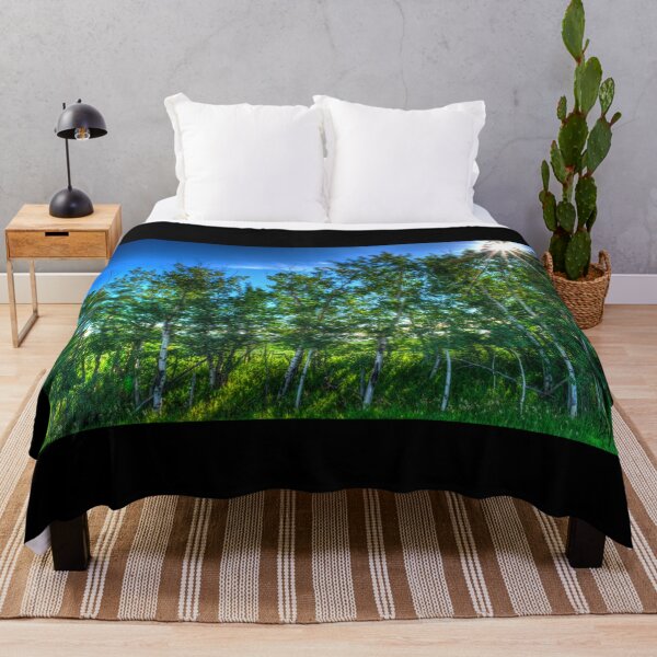 Item preview, Sun Shinning Through Birtch Trees in Farmers Field Big Ski Alberta designed and sold by ColdCreekCanvas.