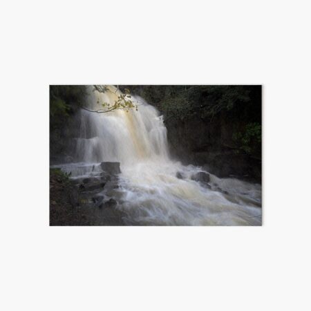 Harmby waterfall in full spate, Yorkshire Dales National Park, UK Art Board Print