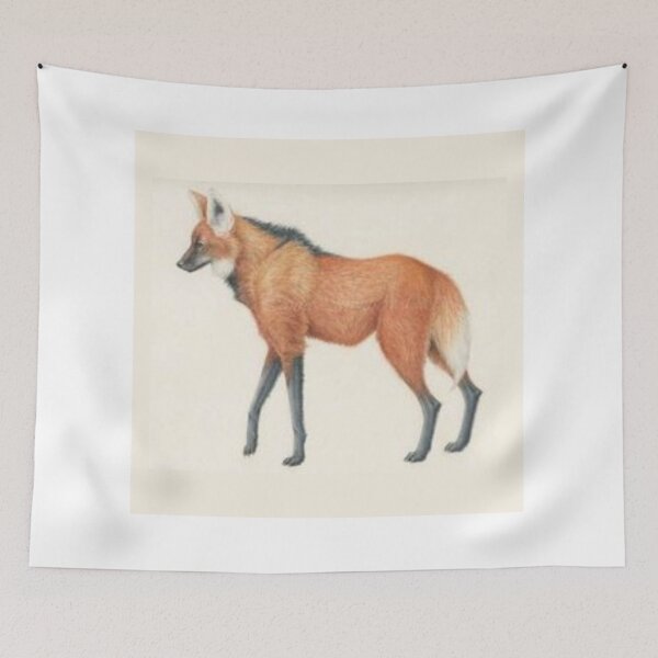 Item preview, maned wolf/Aguará Guazú designed and sold by KrisSJ12.