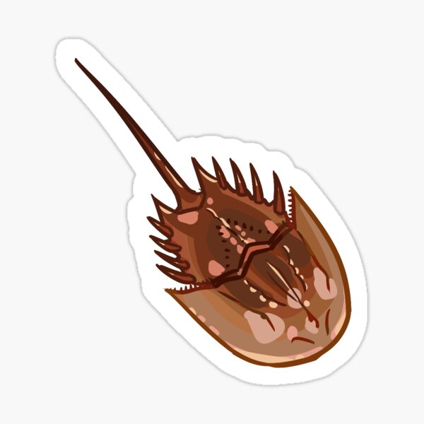 Item preview, Animalia! Horseshoe Crab designed and sold by Jackie Bonnema.