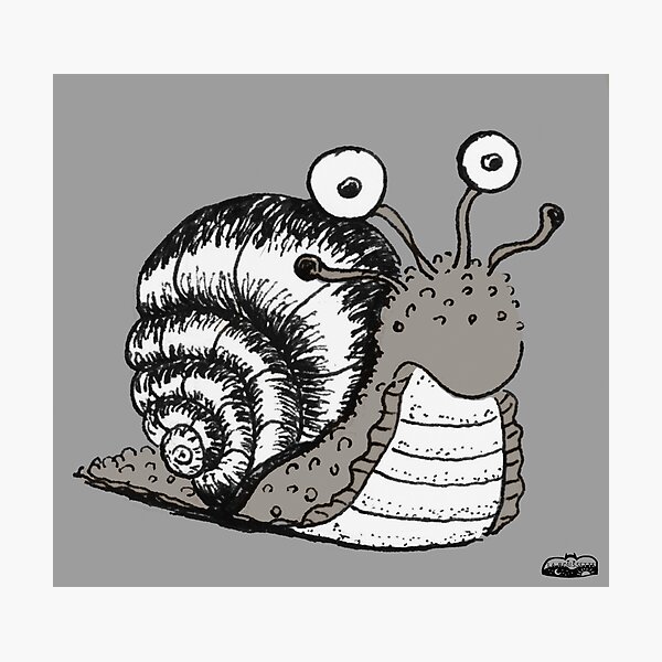 Emily the magic snail Photographic Print