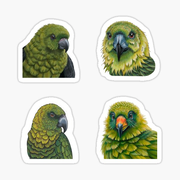 Item preview, flightless x flightless designed and sold by The  Knick Knack Nook.
