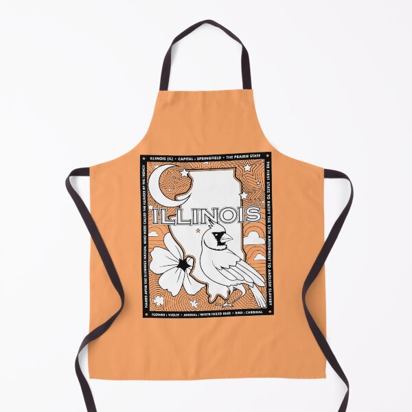 Item preview, illinois state facts coloring page designed and sold by LeapDaze.