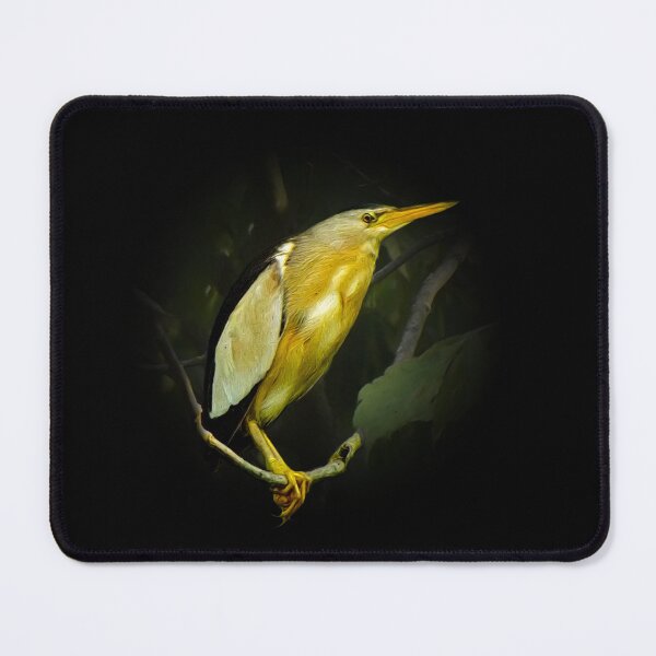 Item preview, Little bittern designed and sold by Guardi71.