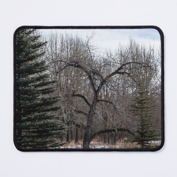 Item preview, Tree with character designed and sold by CanadianWild418.