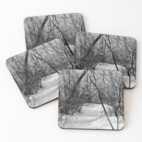 Item preview, Urban park trail in black and white designed and sold by CanadianWild418.