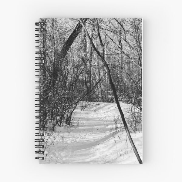 Artikelvorschau, Stadtparkweg in Schwarz und Weiß entworfen und verkauft von CanadianWild418.
