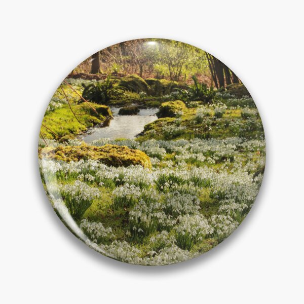 Item preview, Digital photograph of sunlit Snowdrops designed and sold by SimonJohnson1.