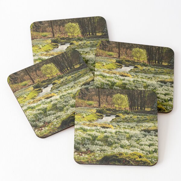 Item preview, Digital photograph of sunlit Snowdrops designed and sold by SimonJohnson1.
