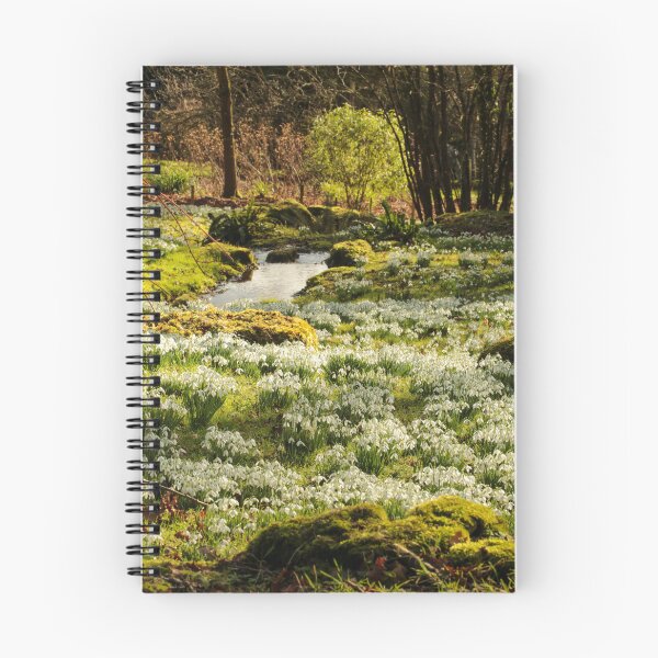 Item preview, Digital photograph of sunlit Snowdrops designed and sold by SimonJohnson1.