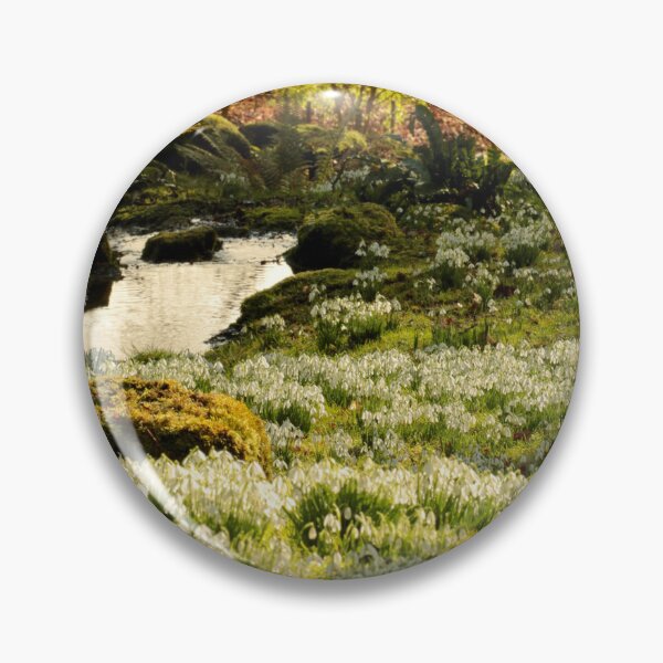 Item preview, digital photograph of sunlit tree and Snowrops designed and sold by SimonJohnson1.