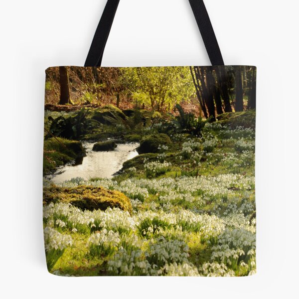 Item preview, digital photograph of sunlit tree and Snowrops designed and sold by SimonJohnson1.