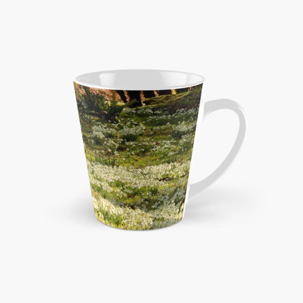 Item preview, digital photograph of sunlit tree and Snowrops designed and sold by SimonJohnson1.