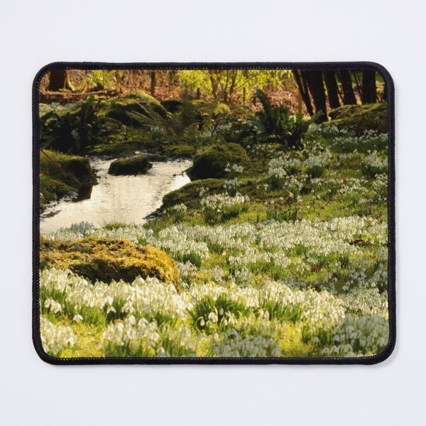Item preview, digital photograph of sunlit tree and Snowrops designed and sold by SimonJohnson1.