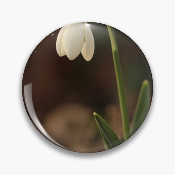 Item preview, Digital Photograph of sunlit snowdrop designed and sold by SimonJohnson1.
