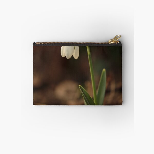 Item preview, Digital Photograph of sunlit snowdrop designed and sold by SimonJohnson1.