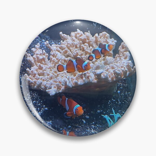 Item preview, Clown Fish designed and sold by SIpublishing.