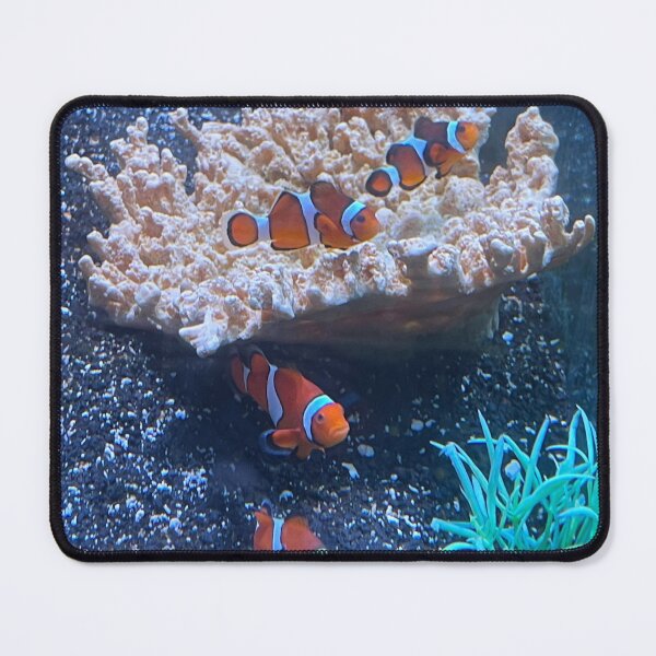 Item preview, Clown Fish designed and sold by SIpublishing.
