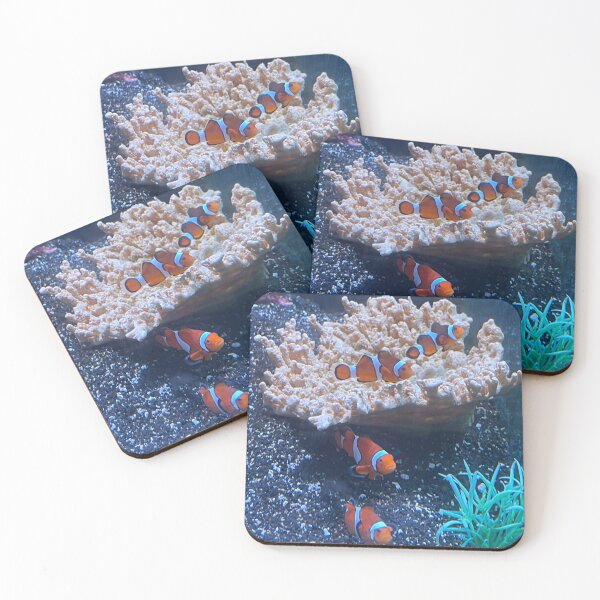 Item preview, Clown Fish designed and sold by SIpublishing.