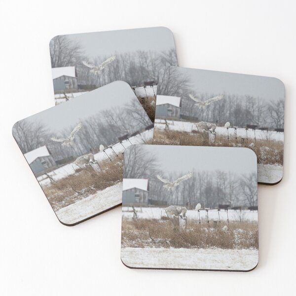 Item preview, FOUR SNOWIES designed and sold by locustgirl.