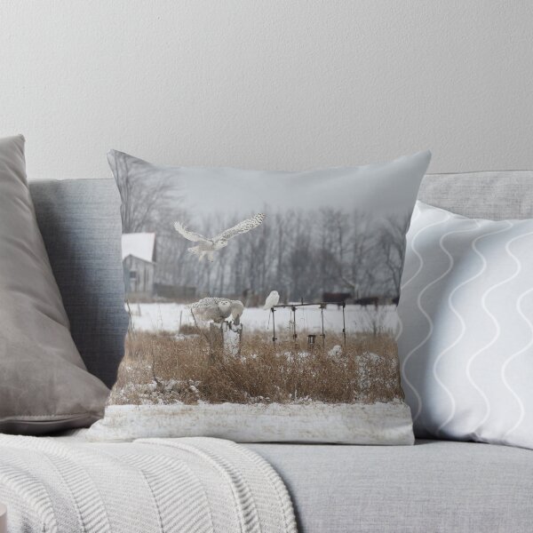 Item preview, FOUR SNOWIES designed and sold by locustgirl.