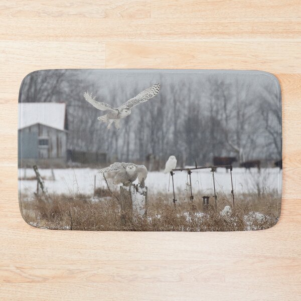 Item preview, FOUR SNOWIES designed and sold by locustgirl.