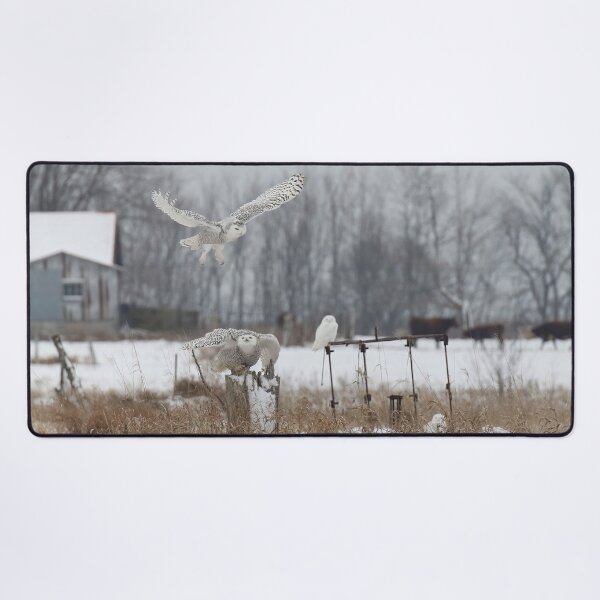 Item preview, FOUR SNOWIES designed and sold by locustgirl.