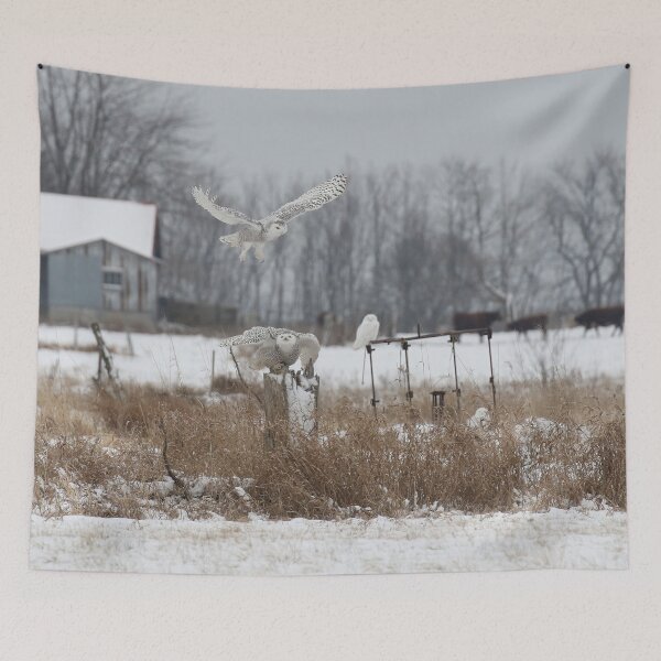 Item preview, FOUR SNOWIES designed and sold by locustgirl.
