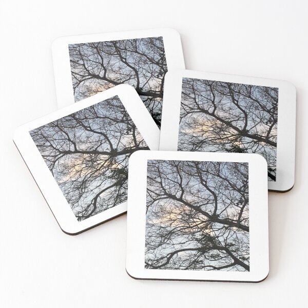 Item preview, Viewing the sky through tree tops. designed and sold by ROSENDE ART HOUSE.
