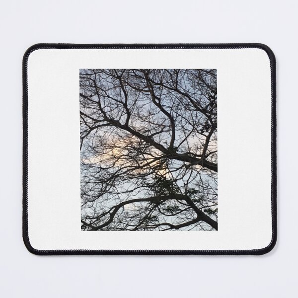 Item preview, Viewing the sky through tree tops. designed and sold by ROSENDE ART HOUSE.